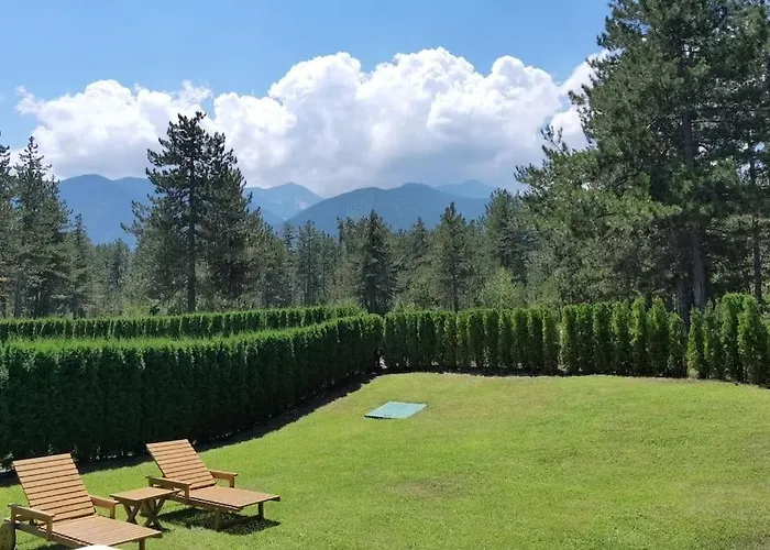 Magnet - Private 라즐로그